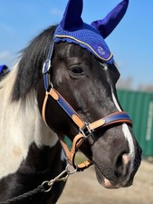 EQUIPRIDE ARGENTINIAN LEATHER