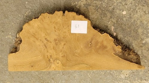 Timber scottish burr elm - timber,