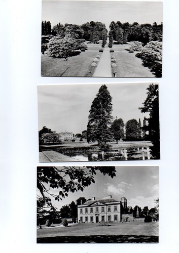 Vintage postcards - 3,