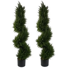 120cm Pair of Spiral Cypress