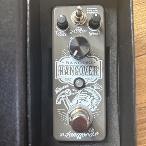 Landlord banging hangover - landlord, fx