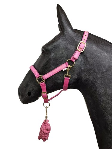 Horse masters best - horse,