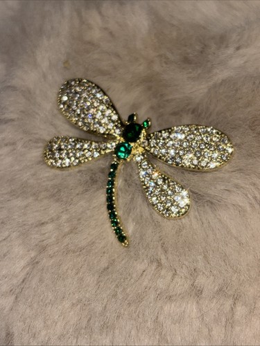 Dragonfly gem striking - 4,