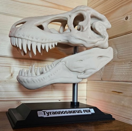 Large rex tyrannosaurus - large,