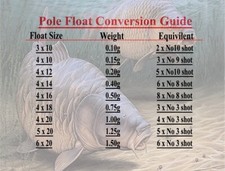 Pole float shotting weight