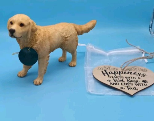 Leonardo golden retriever - leonardo,