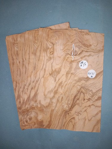 Olive ash veneer - ash, 4