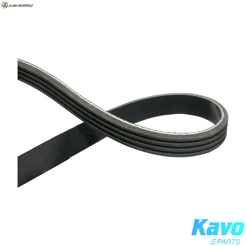 Ribbed belt dmv 1511 - dmv-1511, for