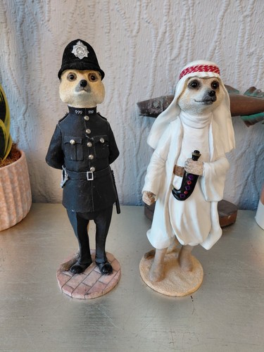 Old country artists meerkat - old,
