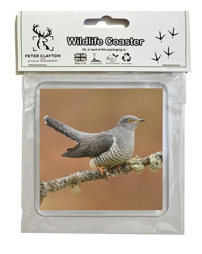 Drink coaster cuckoo - coaster:, bird