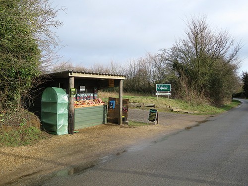 Photo 6x4 newbourne fruit and - newbourne:,