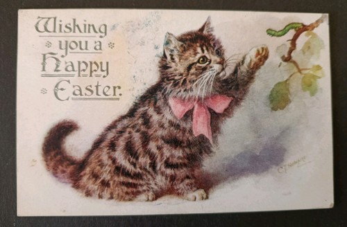 Cat postcard tabby kitten - postcard,,