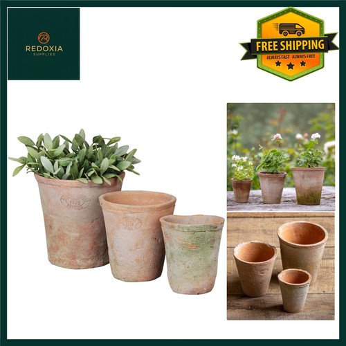 Rustic terracotta plant pots - rustic,