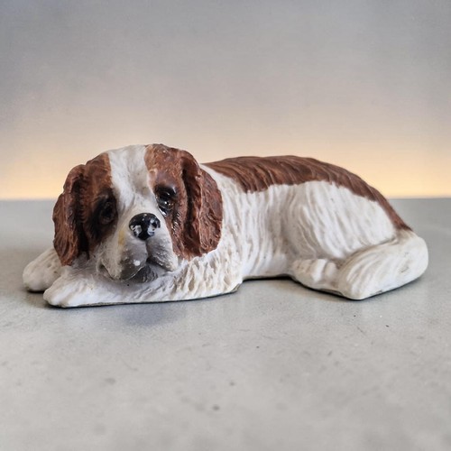 Cavalier king charles - cavalier,