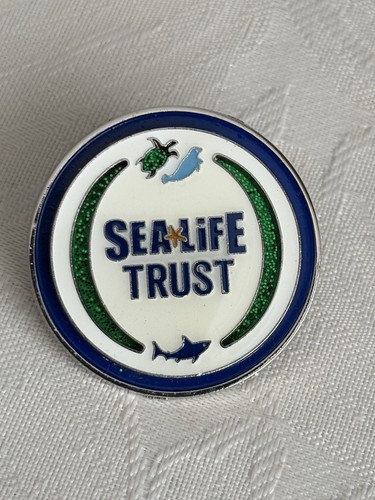 Pin badge sea - badge,