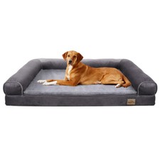 Bingo Paw Oversized Dog Bed