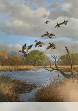 Ken Smallwood - Drifting In -