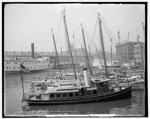 Oyster luggers the - oyster,