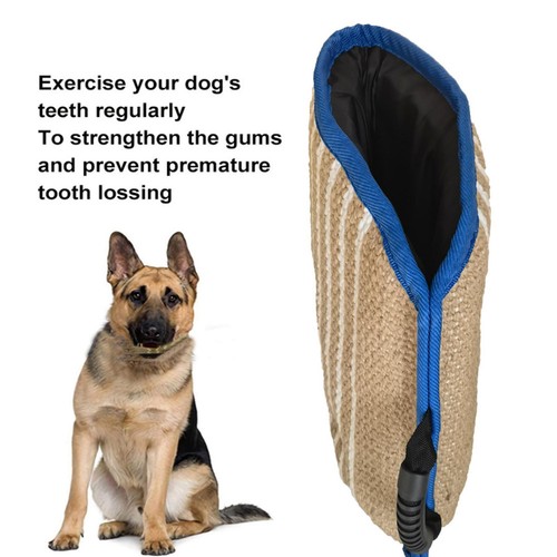 Pet dog bite training - bite,