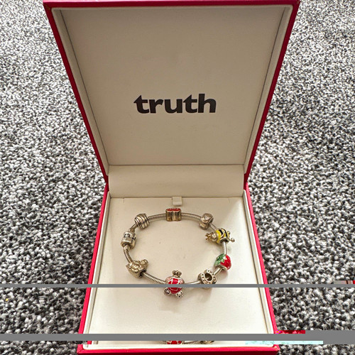 Truth silver tone - snake, chain