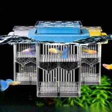 Breeding Aquarium Fish Tank