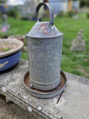 Vintage galvanised poultry - galvanised,