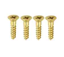 Heavy Duty Brass Butt Hinges |