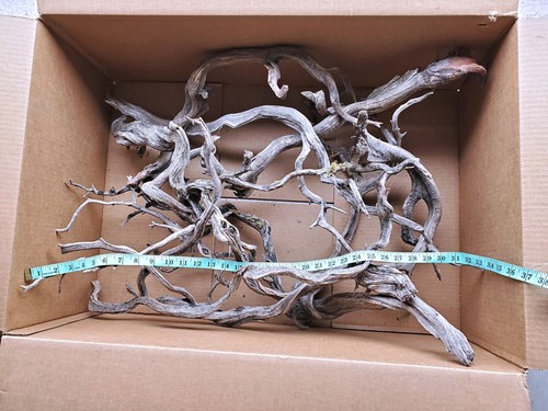 Manzanita driftwoods from - x8,