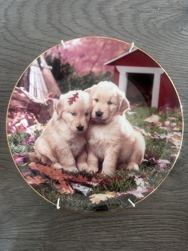 Royal doulton limited - royal, 95’