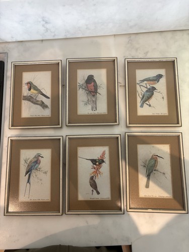 Rena set framed mounted - set, of
