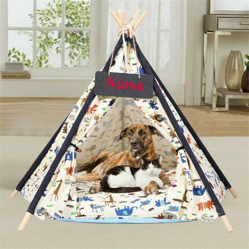 Inch large pet - inch, house