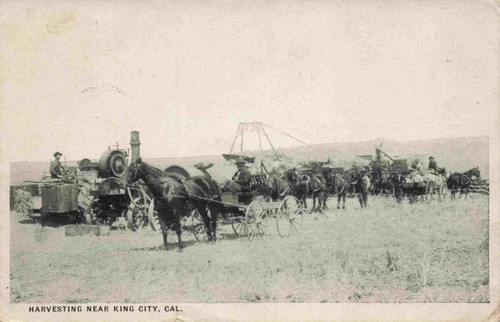 Harvesting with horse - harvesting, horse-drawn