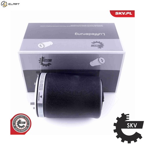 Air spring suspension 58skv002 - suspension,