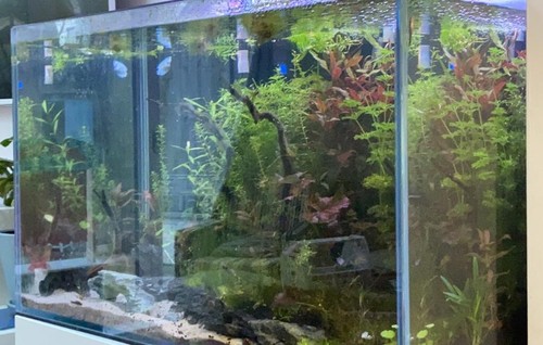 Aquarium with wooden - , cabinet