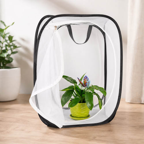 Pop butterfly habitat - pop, mesh