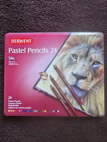 Derwent pastel pencil set - pencil, 24