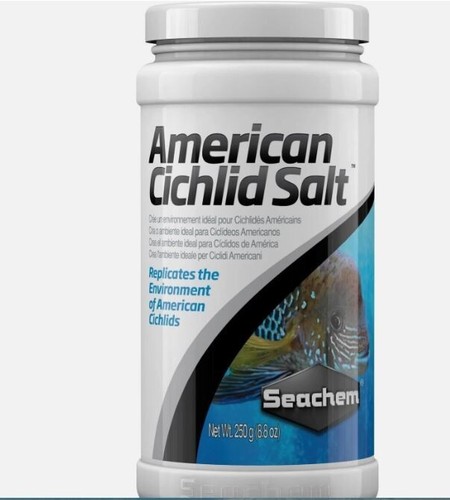 American cichlid salt - cichlid,