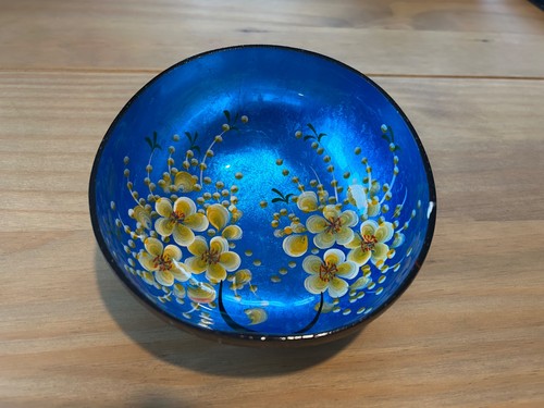 Hand painted coconut shell - coconut,