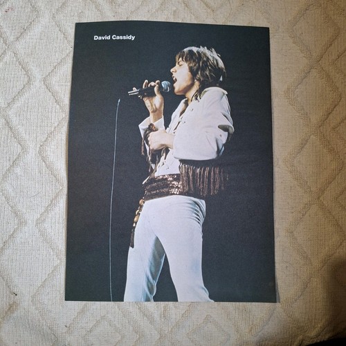 David cassidy magazine - cassidy,