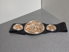 Mattel WWE 2010 World Tag Team