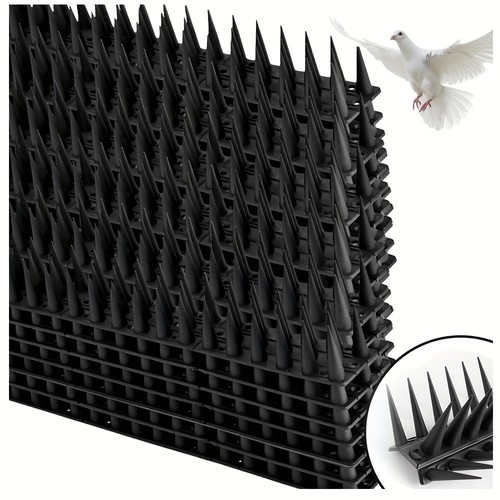 Bird spikes for pigeon - bird,