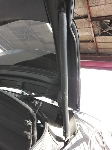 Boot tailgate support strut - or,
