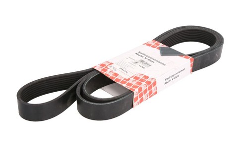 Multi ribbed belt - multi, daf