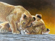 STEPHEN GAYFORD, 'SAVANNAH