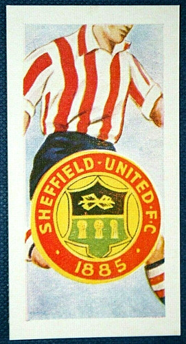 Sheffield united shirt - ,