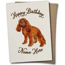 English Cocker Spaniel