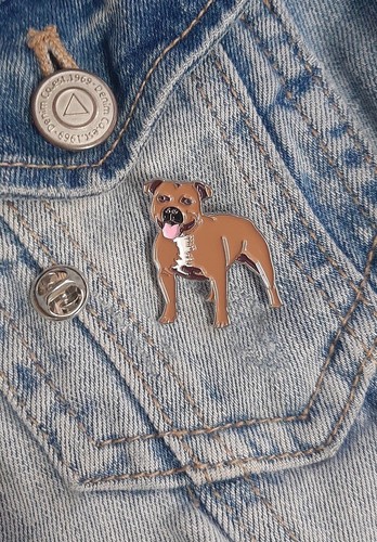 Staffordshire bull terrier dog - bull,