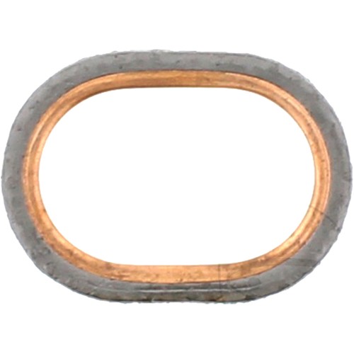 Manifold gasket athena - manifold,