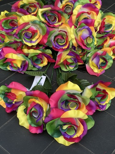 Rainbow roses bushes 25 - x,