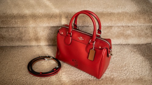Coach peanuts limited edition - coach,